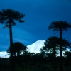 chile_skiing volcanoes_volcan-lonquimay