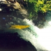 chile_palquin_pucon