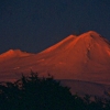 mountain_llama