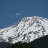 mountain_shasta