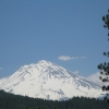 Mount Shasta_Skiing